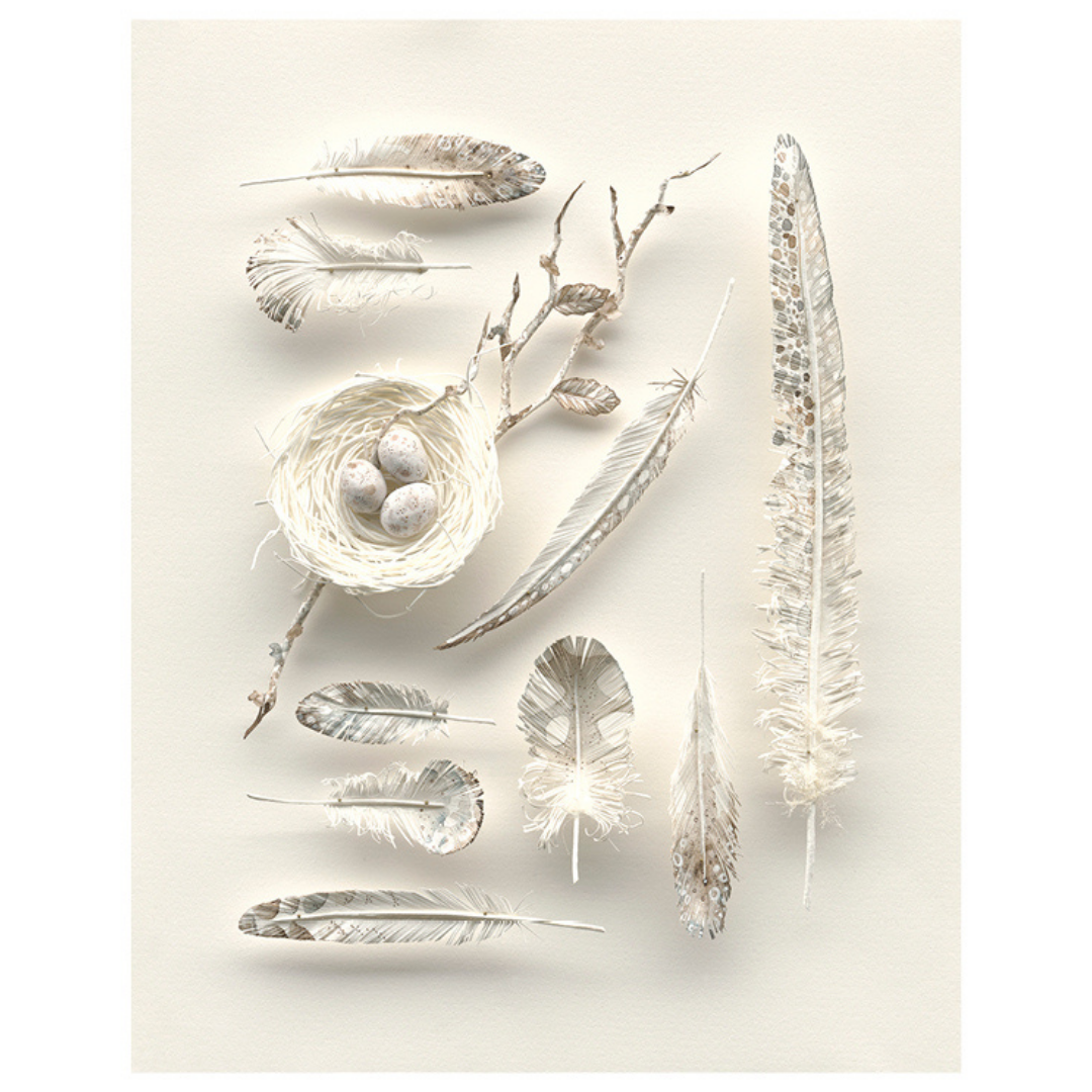 The Garden Curator Art Print: 'Give me wings' by Colleen Southwell