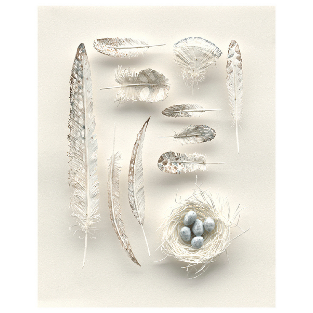 The Garden Curator Art Print: 'That I may fly' by Colleen Southwell