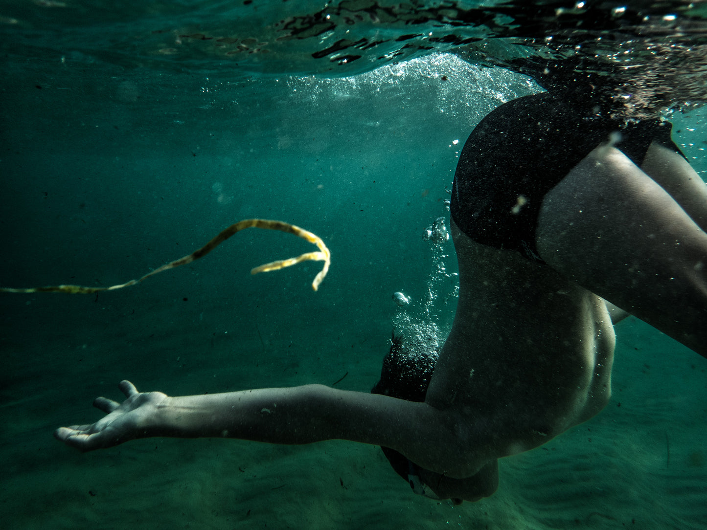 L'Eau de Joy Boy by Penelope Green
