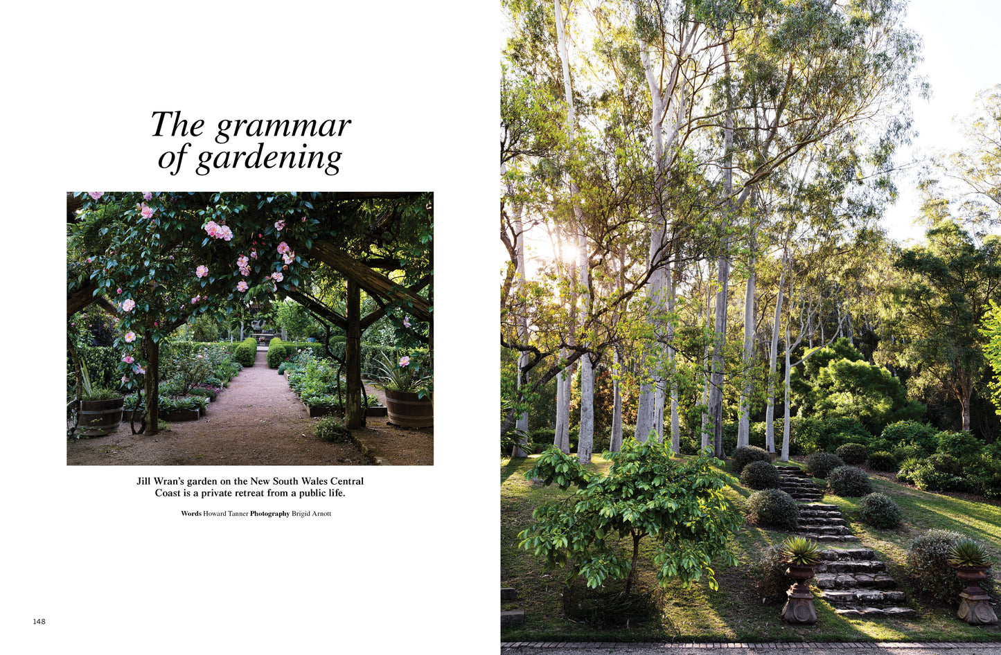 Galah Issue 4