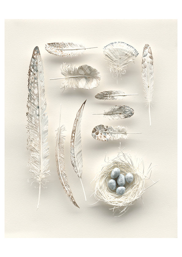 The Garden Curator Art Print: 'That I may fly' by Colleen Southwell