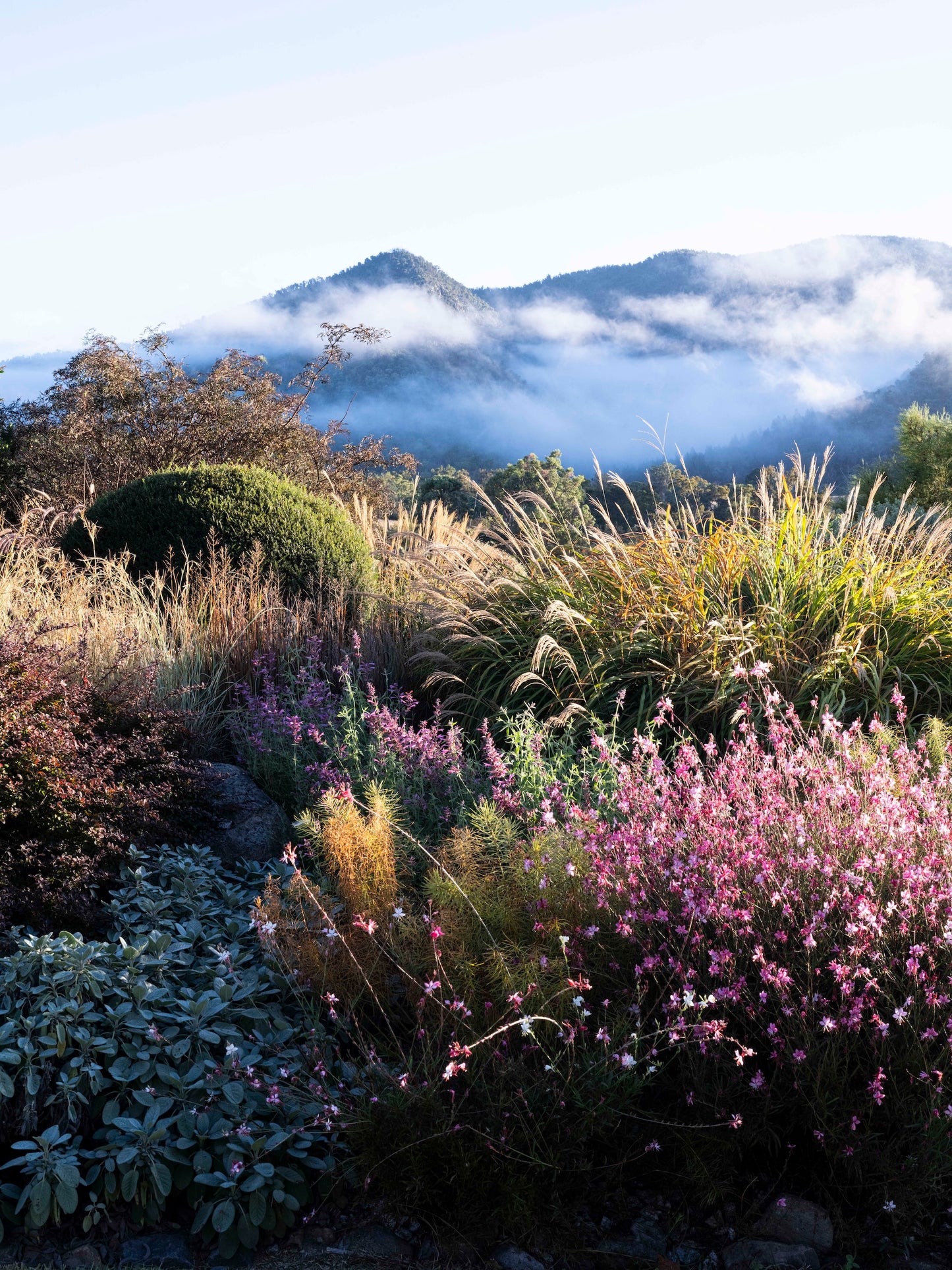 Book pre-order: A Garden is not a Painting