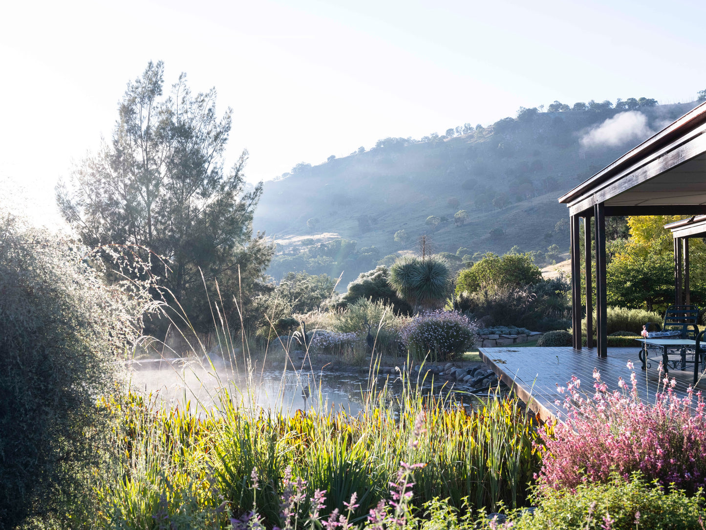 Book pre-order: A Garden is not a Painting