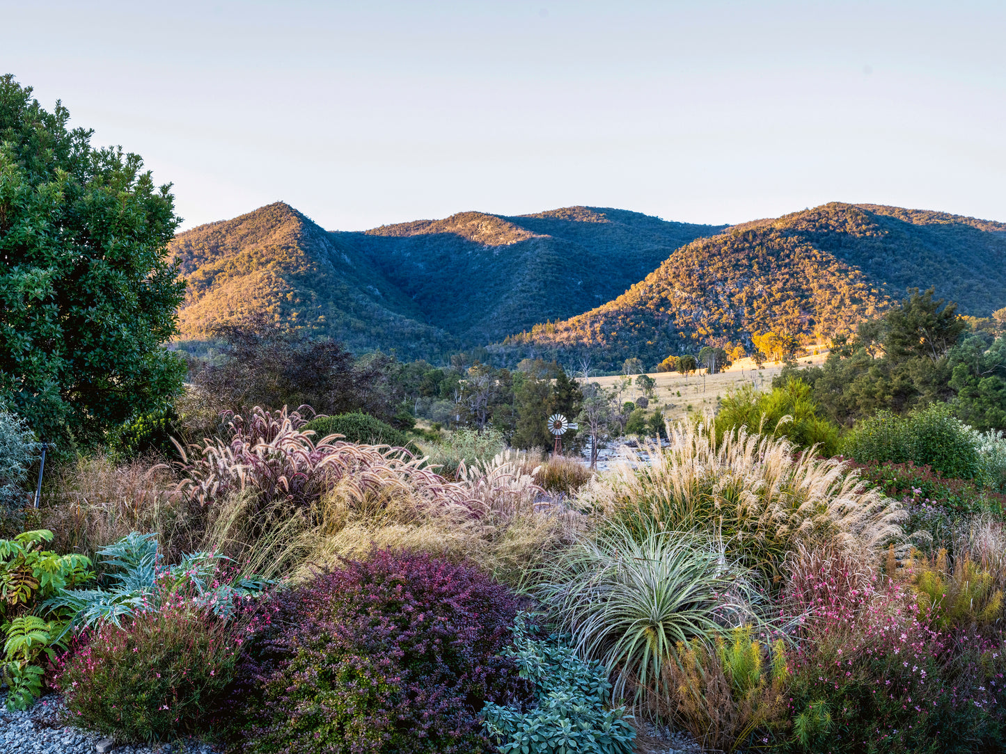 Book pre-order: A Garden is not a Painting