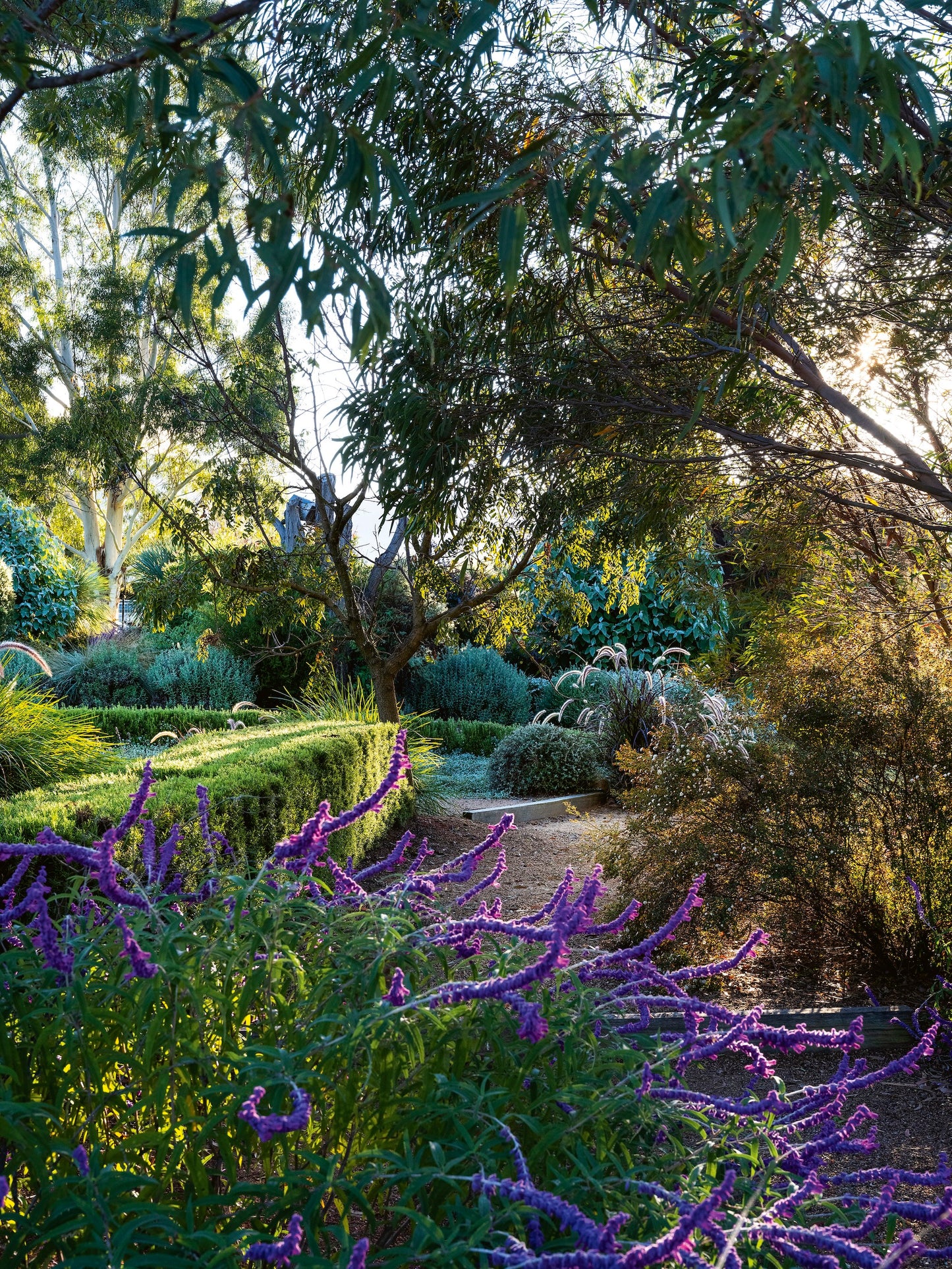 Book pre-order: A Garden is not a Painting