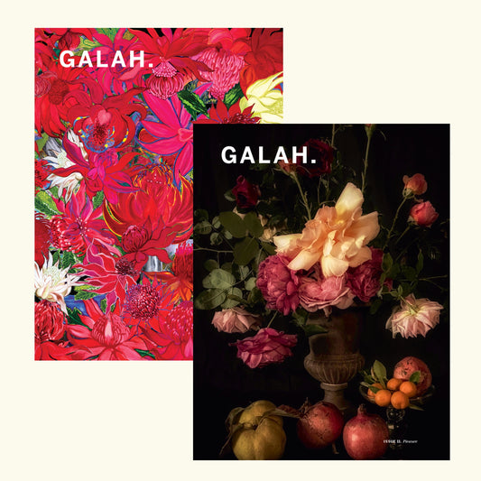 SPECIAL: Galah Issues 10 &11